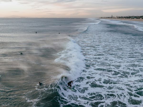 Surfers riding waves near a sandy beach at sunset with a distant view of an oil rig and a line of palm trees along the coast.